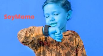 All You Need To Know About SoyMomo