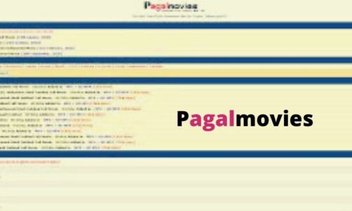 PagalMovies: Your Go-To Piracy Movie Downloading Website